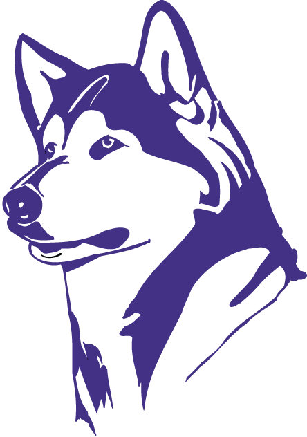 Washington Huskies 1995-2000 Partial Logo iron on paper